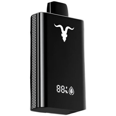 VAPER DESCARTAVEL IGNITE V120 BLACK ICE MINT 12000 PUFFS VAPER DESCARTAVEL IGNITE V120 BLACK ICE MINT 12000 PUFFS