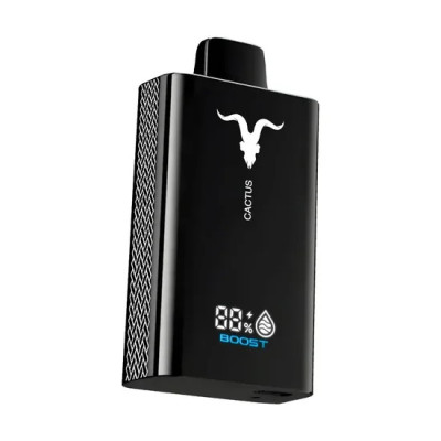 VAPER DESCARTAVEL IGNITE V120 BLACK CACTUS 12000 PUFFS