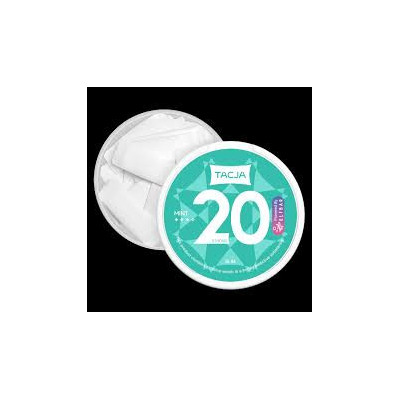 ELFBAR NICOTINE POUCHES MINT