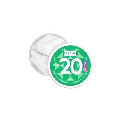 ELFBAR NICOTINE POUCHES SPEARMINT