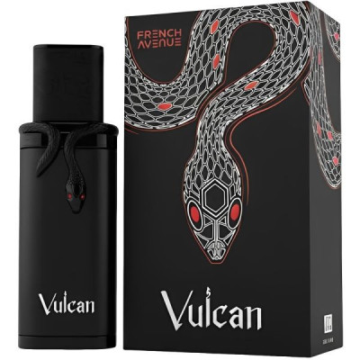 PERFUME FRENCH AVENUE VULCAN BLACK FRIDAY EAU DE PARFUM MASCULINO 100M