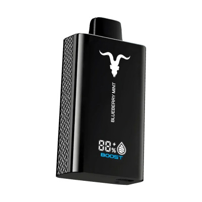 VAPER DESCARTAVEL IGNITE V120 PRO BLACK BLUEBERRY MINT 12000 PUFFS